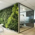 Best Landscape Company in Dubai